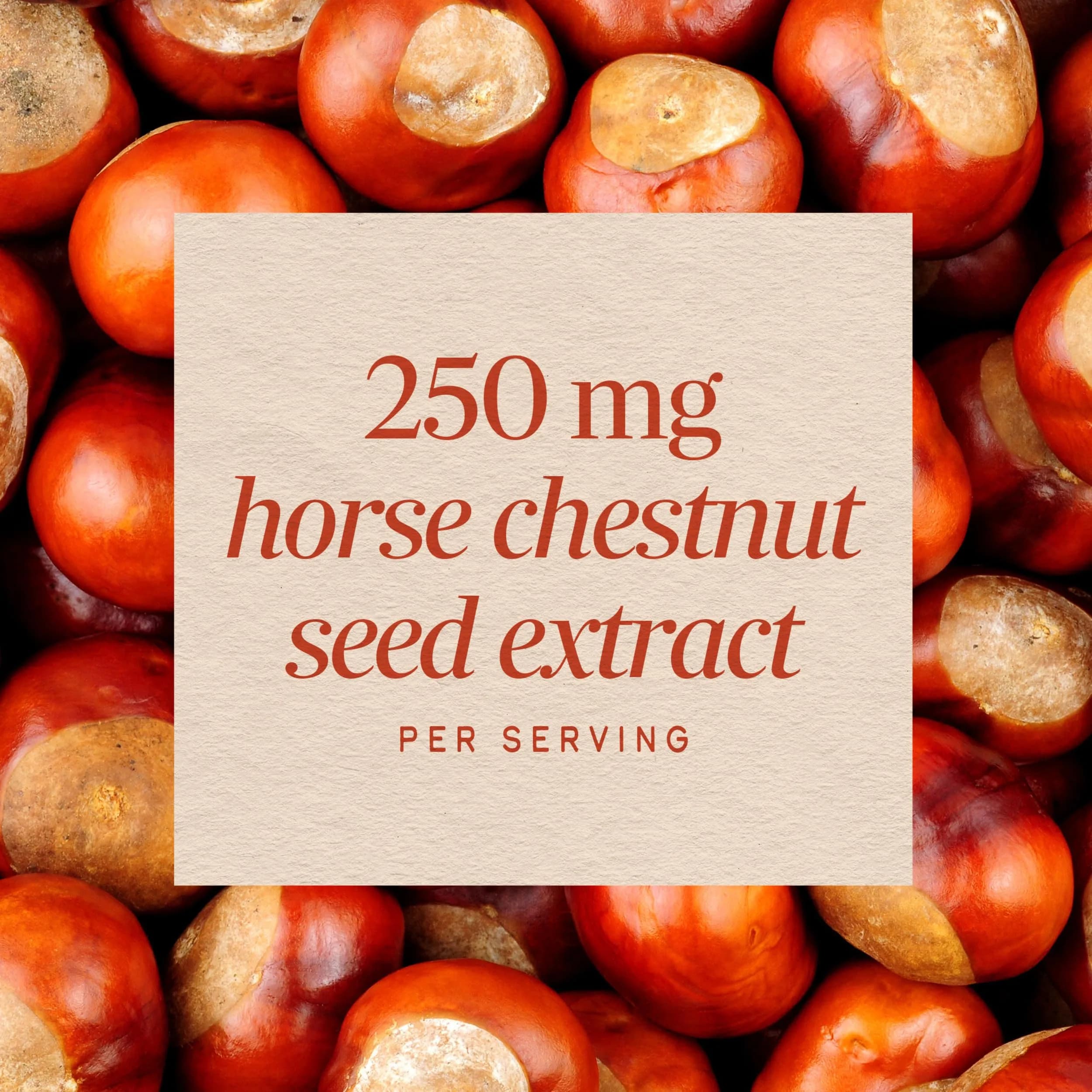 Nature's Way Horse Chestnut Extract 90 Capsules | Supports Healthy Leg Veins & Circulation - view 4