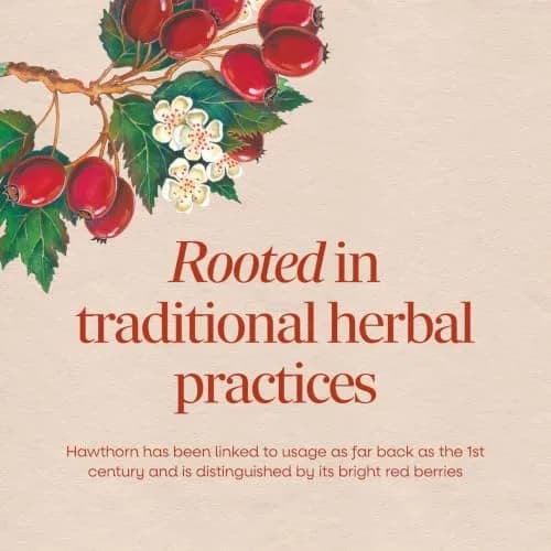 Nature's Way Hawthorn Berries 180 Count | Heart Support Capsules, Vegan & Gluten-Free thumbnail 3