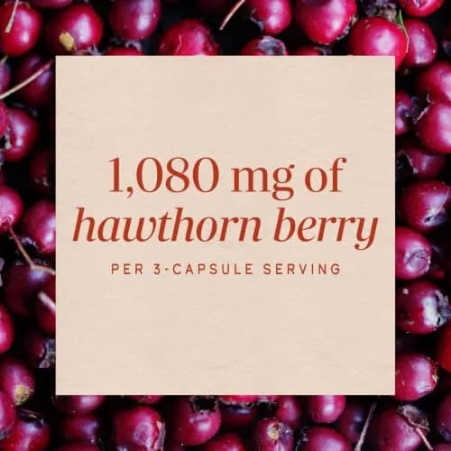 Nature's Way Hawthorn Berries 180 Count | Heart Support Capsules, Vegan & Gluten-Free thumbnail 4
