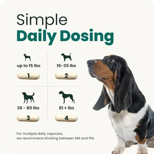 Vetriscience Healthy Spine & Disc Easy-Open Capsules for Dogs | 180 Count thumbnail 6