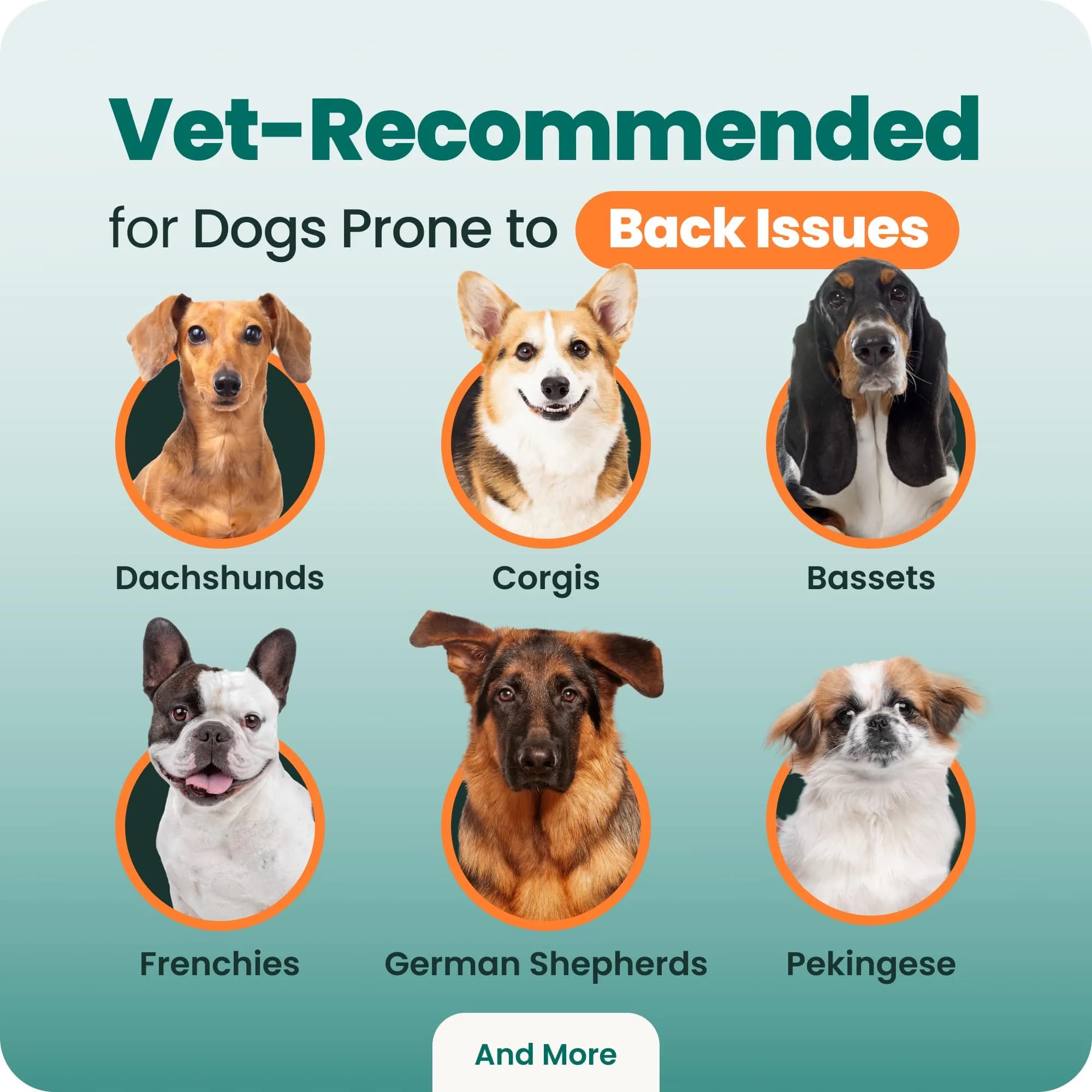 Vetriscience Healthy Spine & Disc Easy-Open Capsules for Dogs | 180 Count - view 8