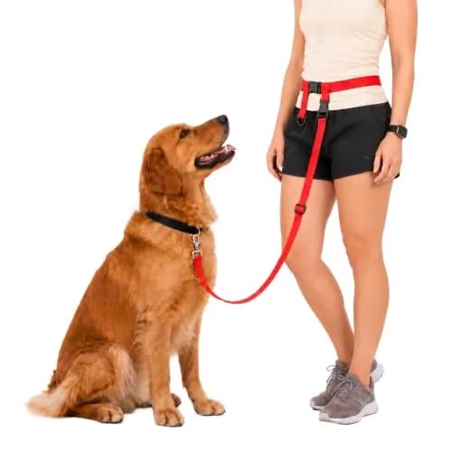 The Buddy System Hands Free Dog Leash Regular Size | Adjustable, Tangle-Free, USA-Imported (70-120 chars) thumbnail 1
