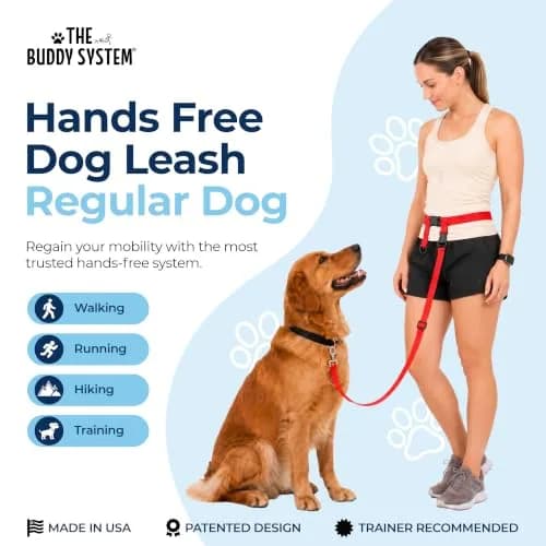 The Buddy System Hands Free Dog Leash Regular Size | Adjustable, Tangle-Free, USA-Imported (70-120 chars) thumbnail 2