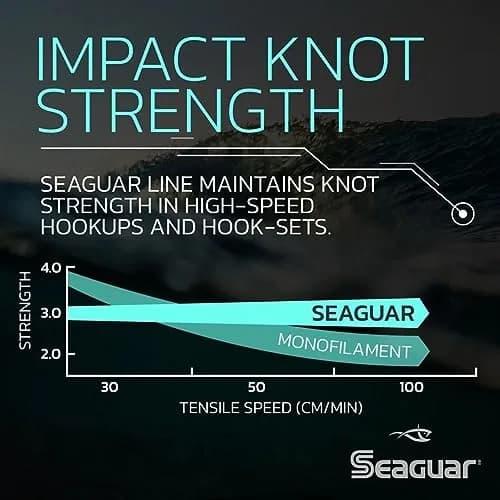 Seaguar Blue Label 100% Flourocarbon Fishing Line 4 lbs | Fast sinking, superior strength, trusted by pros thumbnail 2