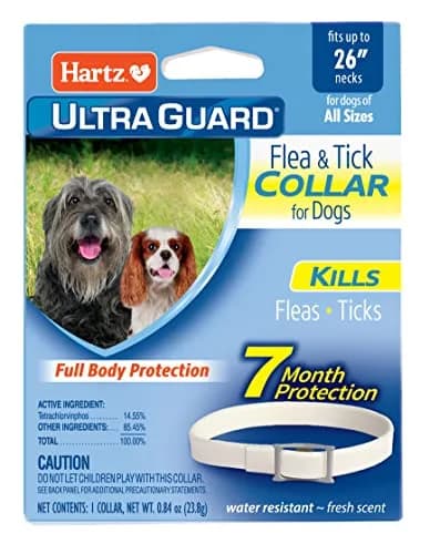Hartz UltraGuard Flea & Tick Collar for Dogs and Puppies, Up to 26 Inch Neck | 7-Month Protection thumbnail 1