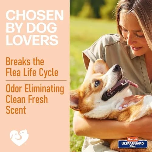 Hartz UltraGuard Plus Flea & Tick Home Spray 473ml (16 Fl Oz) | Kills Fleas, Ticks, Eggs & Larvae thumbnail 5