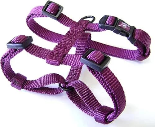 Hamilton Adjustable Nylon Dog Harness, Small 5/8" x 12-20" | Durable, Adjustable Fit for Small & Medium Dogs thumbnail 1