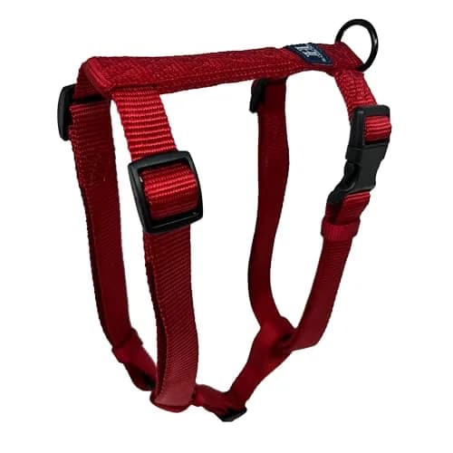 Hamilton Adjustable Nylon Dog Harness, Small 5/8" x 12-20" | Durable, Adjustable, Safe Fit thumbnail 1