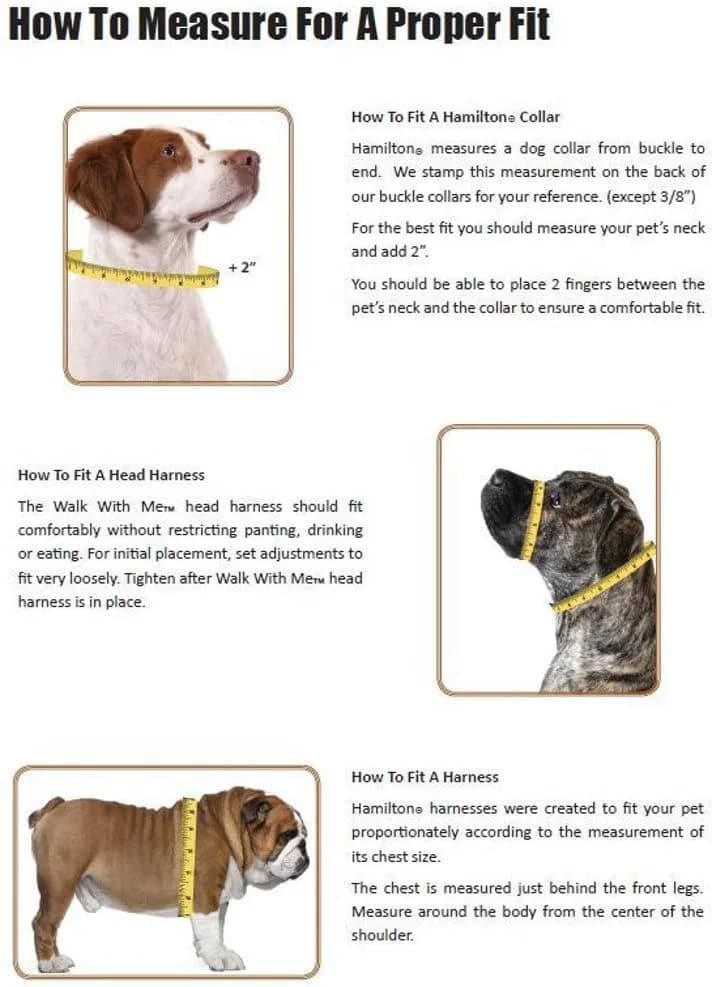 Hamilton Adjustable Nylon Dog Harness, Small 5/8" x 12-20" | Durable, Adjustable, Safe Fit thumbnail 5