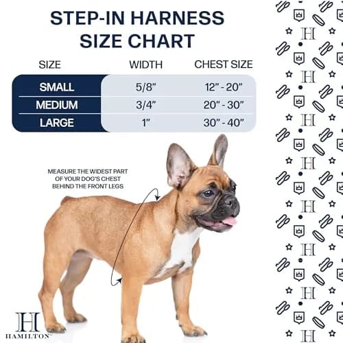 Hamilton Adjustable Nylon Dog Harness, Small 5/8" x 12-20" | Durable, Adjustable, Safe Fit thumbnail 6