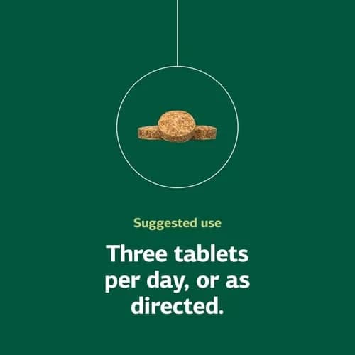 Standard Process Catalyn 360 Tablets | Whole Food Support for General Wellbeing thumbnail 5