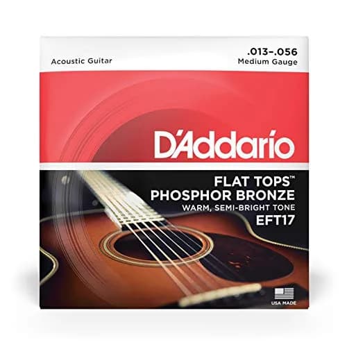 D'Addario Flat Tops Phosphor Bronze Strings EFT17 Medium 13-56 | Reduced Finger Noise for Recording & Slide Guitar thumbnail 2