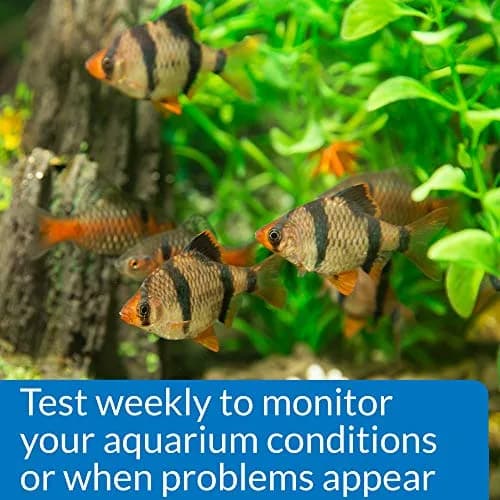 API Phosphate Test Kit 150-Test 1893 ml (64 Fl Oz) | Monitors PO4 Levels in Freshwater & Saltwater Aquariums thumbnail 4