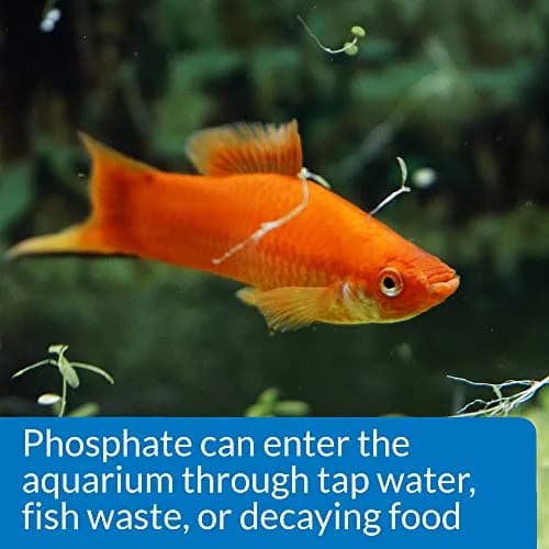 API Phosphate Test Kit 150-Test 1893 ml (64 Fl Oz) | Monitors PO4 Levels in Freshwater & Saltwater Aquariums thumbnail 5