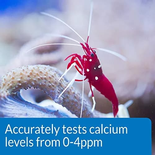 API Calcium Test Kit for Saltwater Aquariums | 1-Count Aquarium Water Testing Kit - view 4