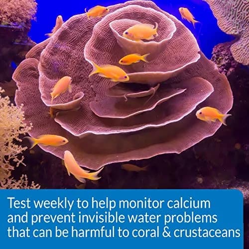API Calcium Test Kit Saltwater Aquarium Water 1-Count Test Kit | Measures Calcium Levels as Low as 20mg/L thumbnail 5