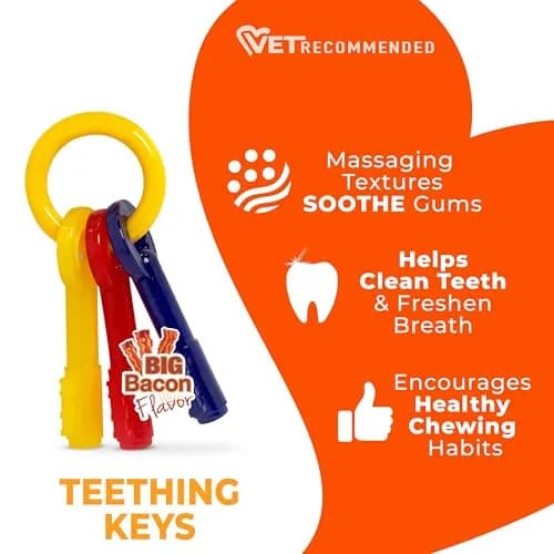 Nylabone Puppy Chew Teething Keys Dog Chew Toy, Bacon Flavor, X-Small | Soothes Gums, Cleans Teeth thumbnail 4
