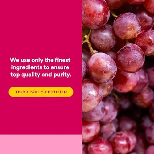 Natural Factors Grape Seed Extract 100 mg 90 Vegetarian Capsules | Antioxidant Support for Circulation & Eye Health thumbnail 5