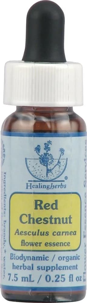 FLOWER ESSENCE SERVICES Red Chestnut Herbal Supplement Dropper 0.25 Fl Oz | Supports Calm & Compassionate Awareness — 0.25 Fl Oz