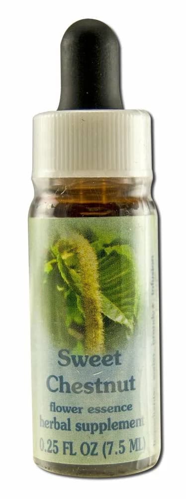 FLOWER ESSENCE SERVICES Sweet Chestnut Herbal Supplement Dropper 0.25 Fl Oz | Spiritual Depth & Faith Support — 0.25 Fl Oz