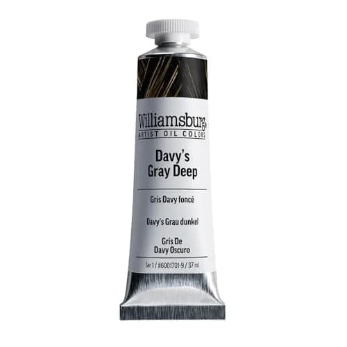 Williamsburg Artist Oil Colors, Davy's Gray Deep, 37 ml Tube | Handmade, Rich Pigment, Lightfastness thumbnail 1
