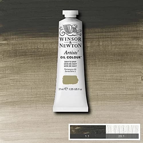 Winsor & Newton Artists' Oil Paint Davy's Gray 37ml (1.25 Fl Oz) | Professional Grade Single Pigment Color thumbnail 3
