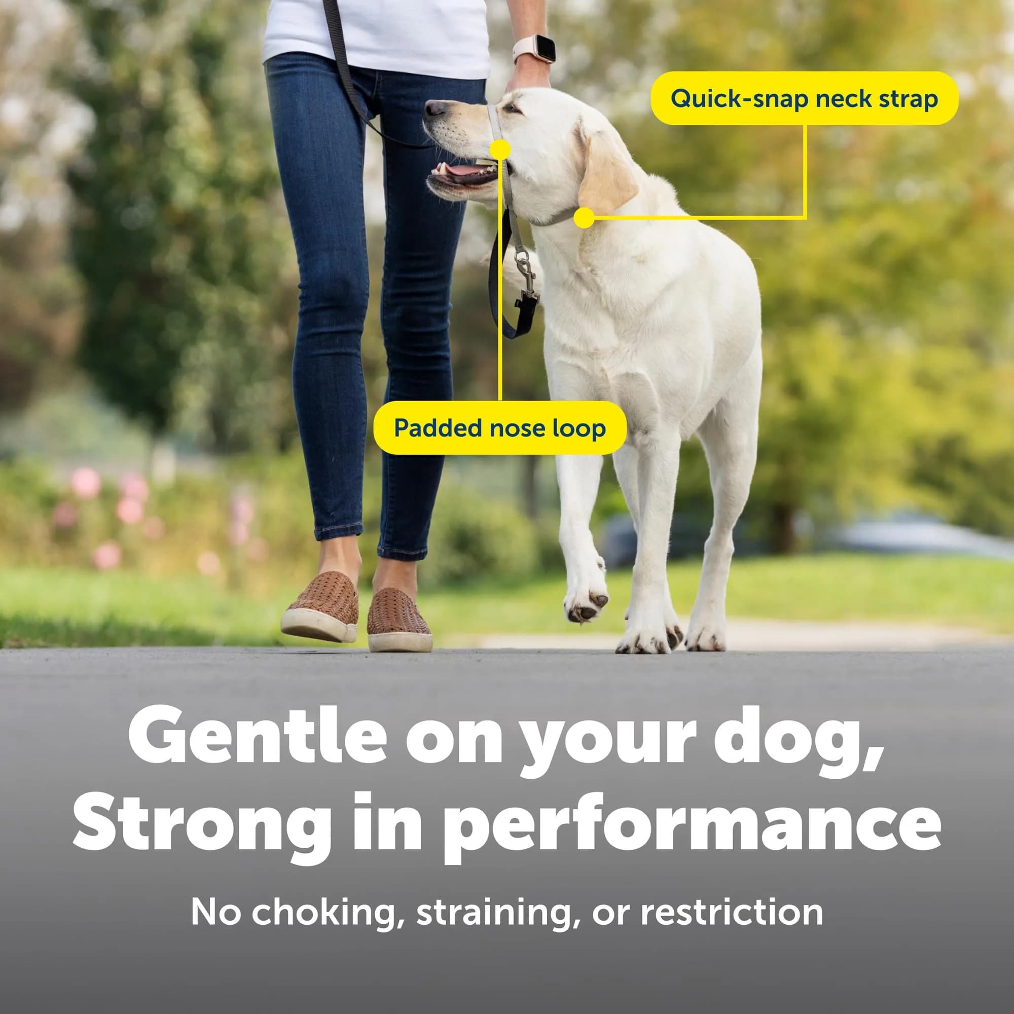 PetSafe Gentle Leader No Pull Dog Headcollar, Red, Medium (25-60 Lb.) | Veterinary Behaviorist-Designed No-Pull Solution - view 4