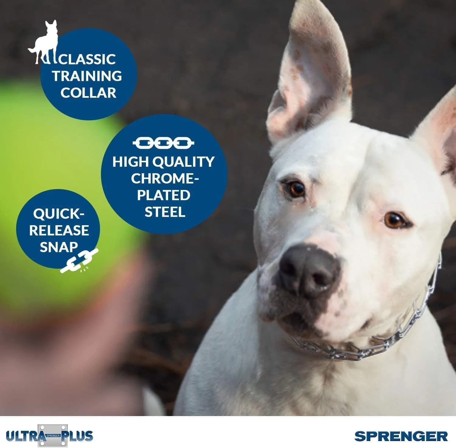 Herm Sprenger Chrome Plated Steel Training Prong Collar with Quick Release Snap for Dogs, 58cm (23in) x 3.2mm, Neck Size Up to 19 Inches - view 9