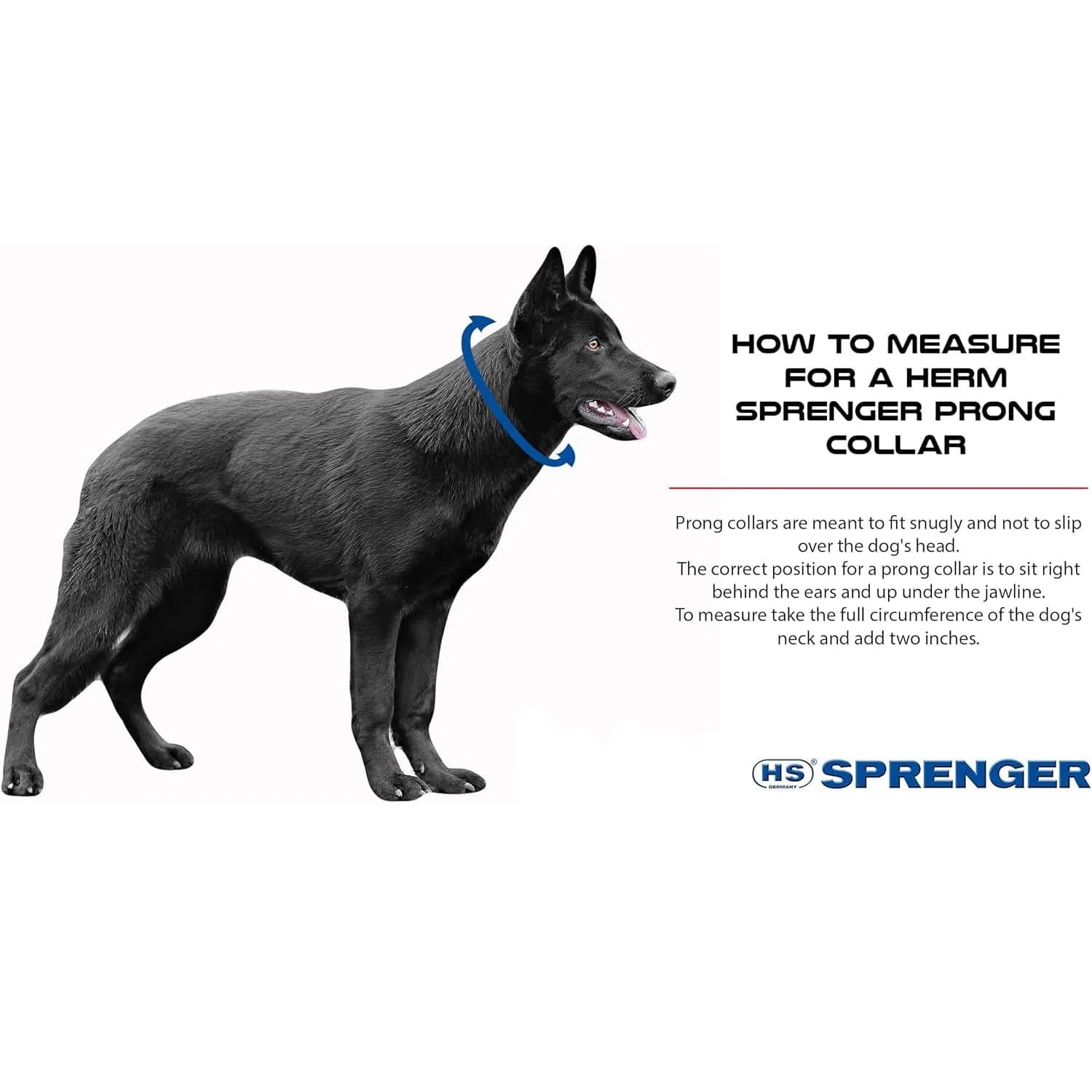 Herm Sprenger Chrome Plated Steel Training Prong Collar with Quick Release Snap for Dogs, 58cm (23in) x 3.2mm, Neck Size Up to 19 Inches - view 3