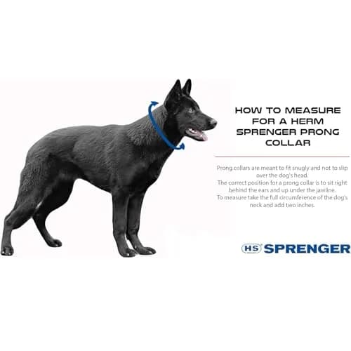 Herm Sprenger Chrome Plated Steel Training Prong Collar with Quick Release Snap for Dogs, 58cm (23in) x 3.2mm, Neck Size Up to 19 Inches thumbnail 3
