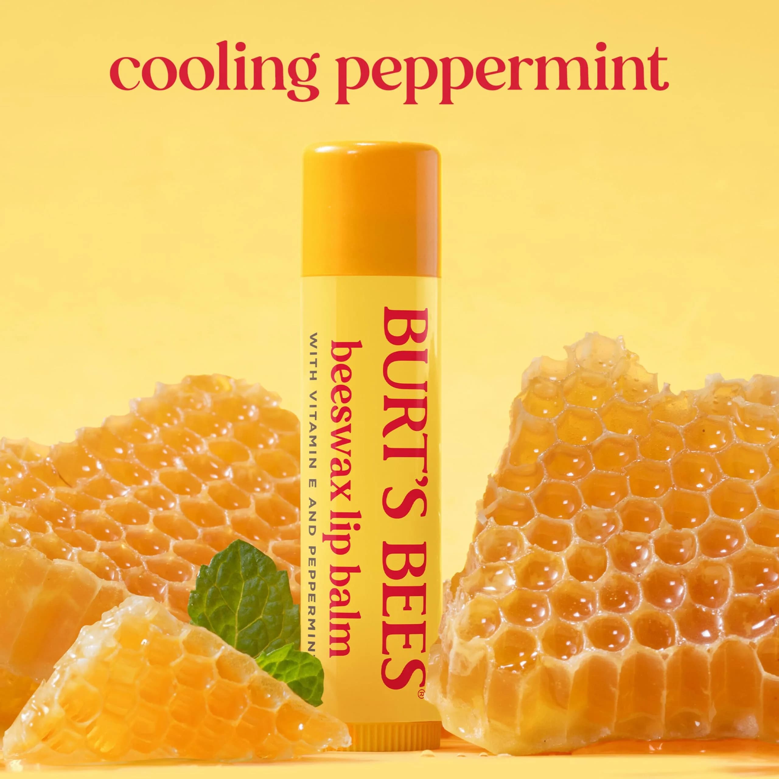 Burt's Bees Original Beeswax Tint-Free Lip Balm - 2 Count Pack - view 3