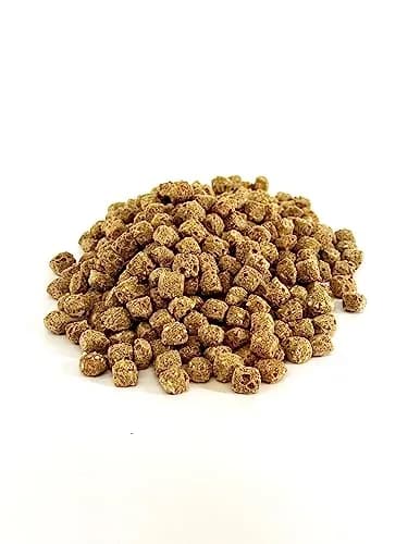 Harrison's Bird Foods Spicy Lifetime Coarse Organic Non-GMO 1lb (454g) | Certified Organic Bird Food for Medium-Large Parrots thumbnail 2