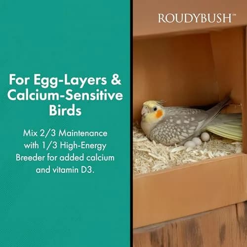 RoudyBush Daily Maintenance Bird Food Small Pellets 4.54 kg (10 lb) | Scientifically Formulated for Pet Birds thumbnail 4