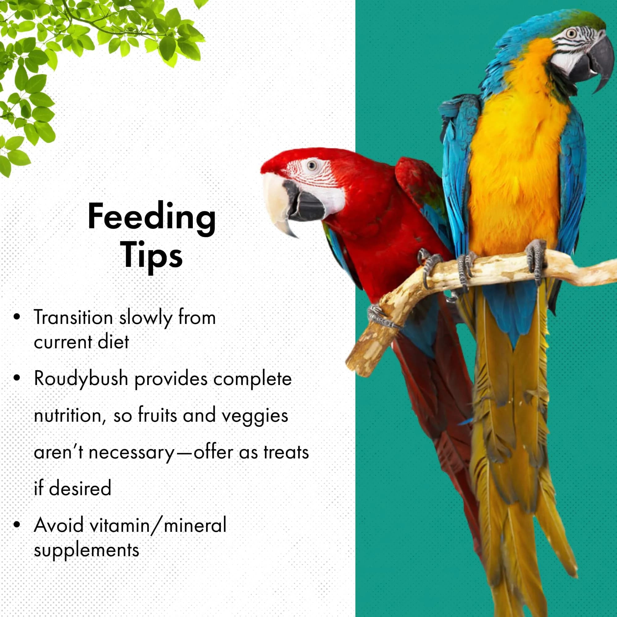 RoudyBush Daily Maintenance Bird Food Small Pellets 4.54 kg (10 lb) | Scientifically Formulated for Pet Birds - view 6