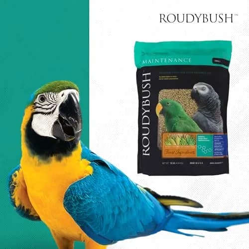 RoudyBush Daily Maintenance Bird Food Small Pellets 4.54 kg (10 lb) | Scientifically Formulated for Pet Birds thumbnail 8