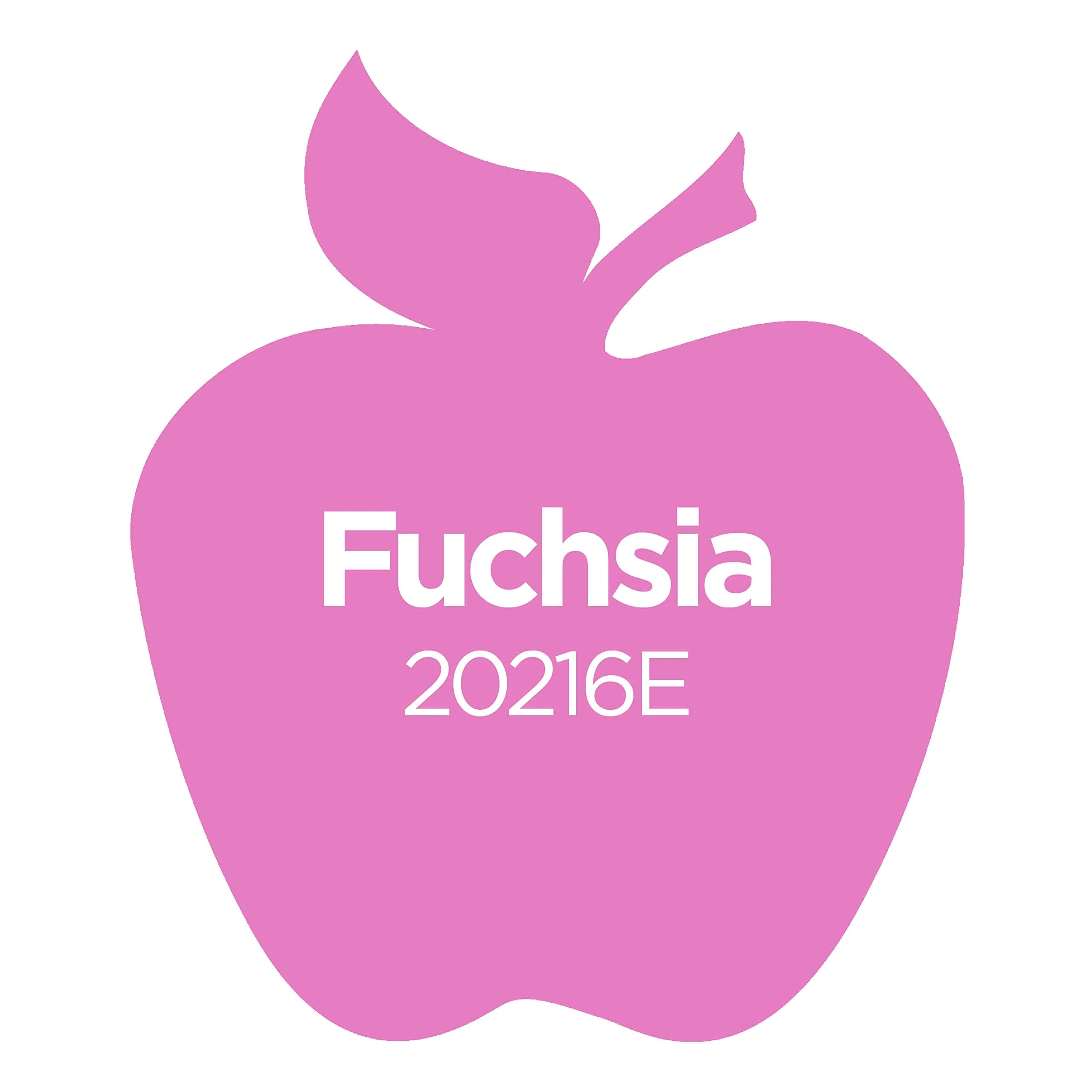 Apple Barrel Acrylic Paint Fuchsia 59ml (2 Fl Oz) | Non-Toxic Matte Finish for Crafts - view 3