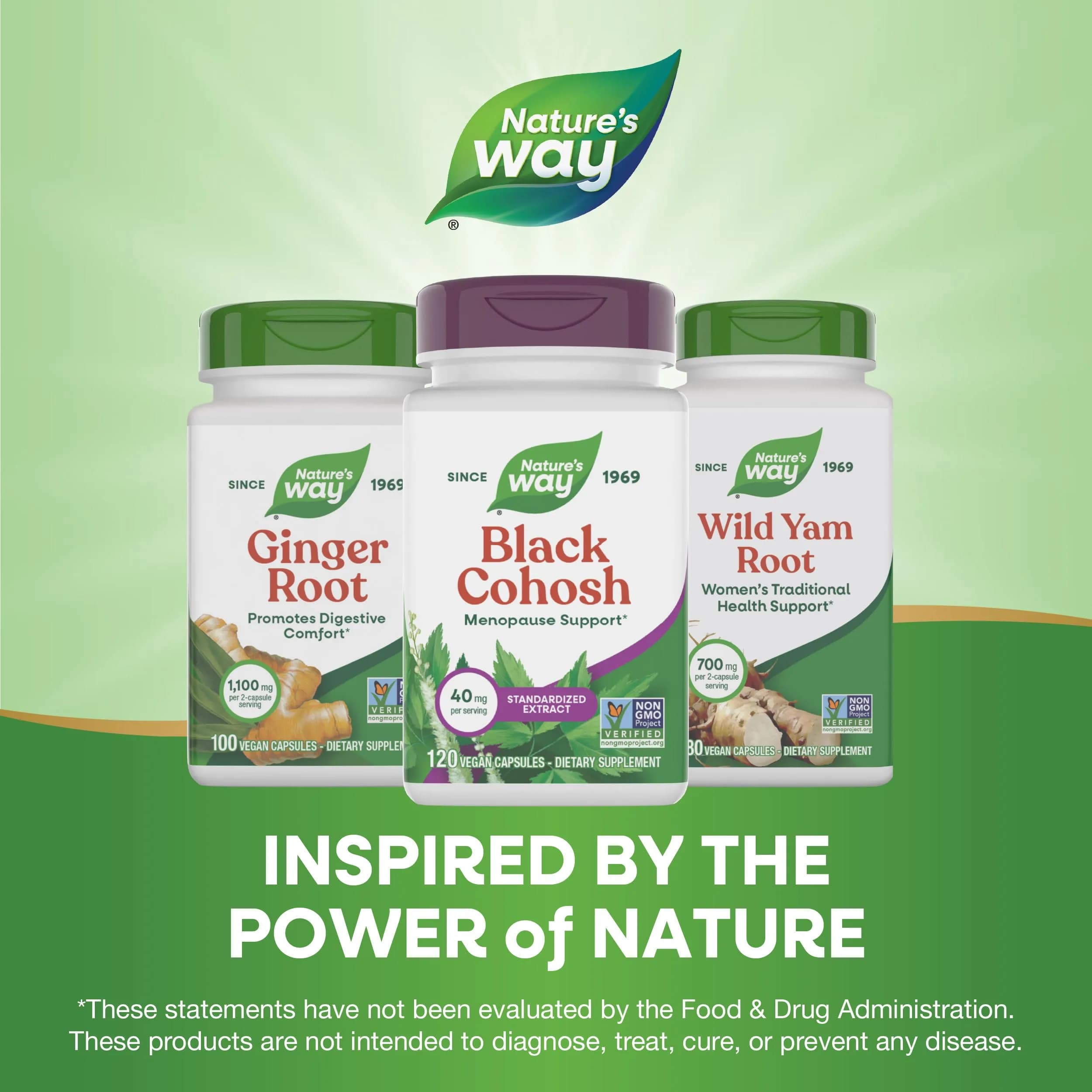 Nature's Way Black Cohosh Menopause Support Supplement for Women 120 Count | Standardized Extract Capsules for Hot Flashes & Night Sweats - view 7