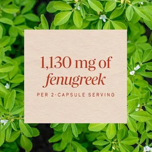 Nature's Way Fenugreek Seed Capsules 180 Count | Traditional Lactation & Digestion Support thumbnail 4