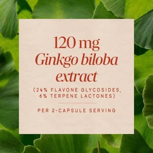 Nature's Way Ginkgo Biloba 60 ct | Supports Memory & Concentration* thumbnail 4
