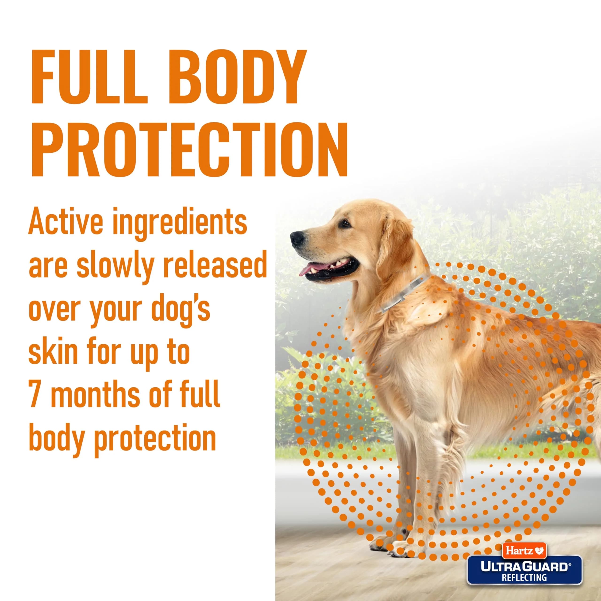 Hartz UltraGuard Flea & Tick Collar for Dogs & Puppies, White, 7-Month Protection | 20 Inch Neck - view 5