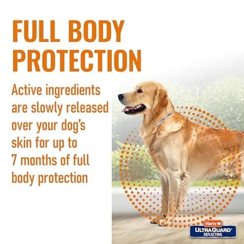 Hartz UltraGuard Flea & Tick Collar for Dogs & Puppies, White, 7-Month Protection | 20 Inch Neck thumbnail 5