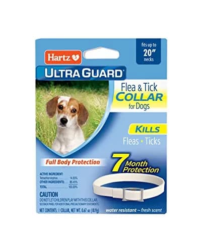 Hartz UltraGuard Flea & Tick Collar for Dogs & Puppies, White, 7-Month Protection | 20 Inch Neck thumbnail 1