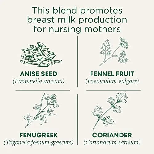 Traditional Medicinals Organic Mother's Milk Tea Bags 96 | Supports Lactation, Organic & Caffeine-Free thumbnail 2