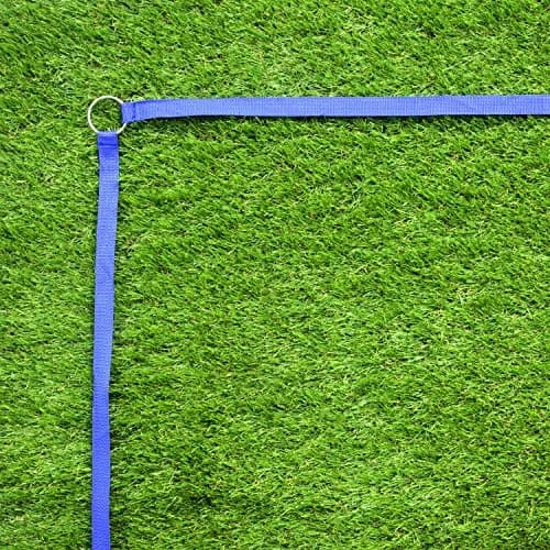 Park & Sun Sports Adjustable Outdoor Volleyball Boundary Webbing with Ground Stakes | 1" Wide Court Line Marker, Blue thumbnail 2