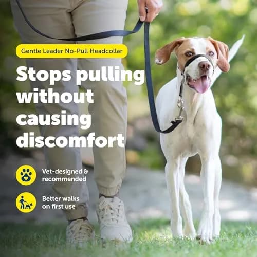 PetSafe Gentle Leader No Pull Dog Headcollar, Fawn, Medium | Veterinary-Designed, Adjustable, Comfort Fit thumbnail 2
