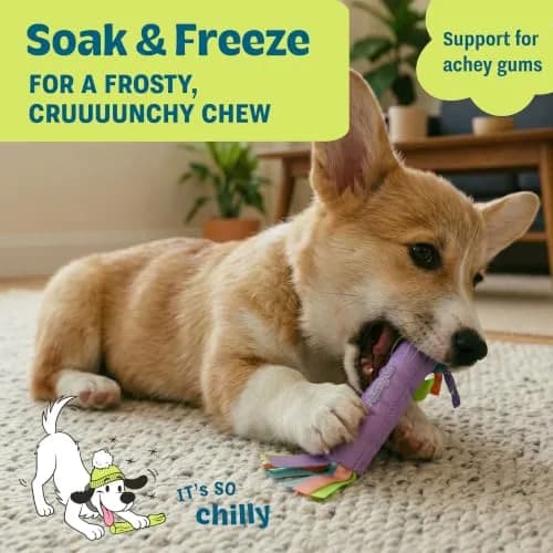 Pupstages Cool Teething Stick Dental Dog Chew Toy, Soak & Freeze, 8.5" | Icy Comfort & Chewing Relief for Puppies thumbnail 4