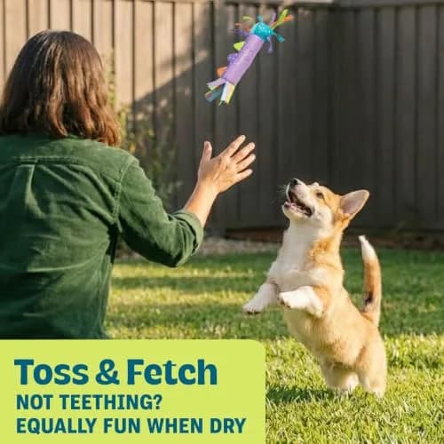 Pupstages Cool Teething Stick Dental Dog Chew Toy, Soak & Freeze, 8.5" | Icy Comfort & Chewing Relief for Puppies thumbnail 5