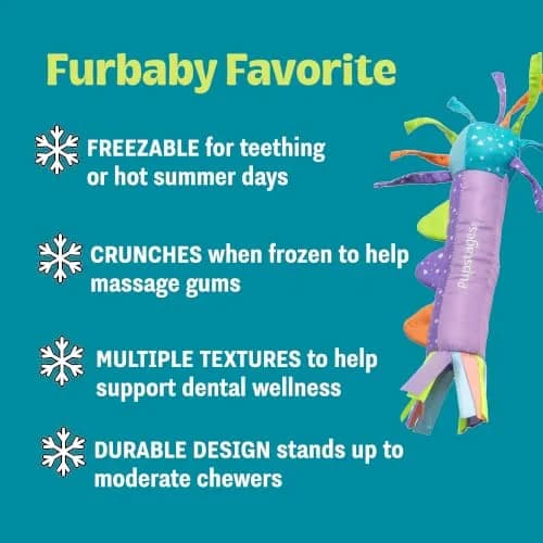 Pupstages Cool Teething Stick Dental Dog Chew Toy, Soak & Freeze, 8.5" | Icy Comfort & Chewing Relief for Puppies thumbnail 3