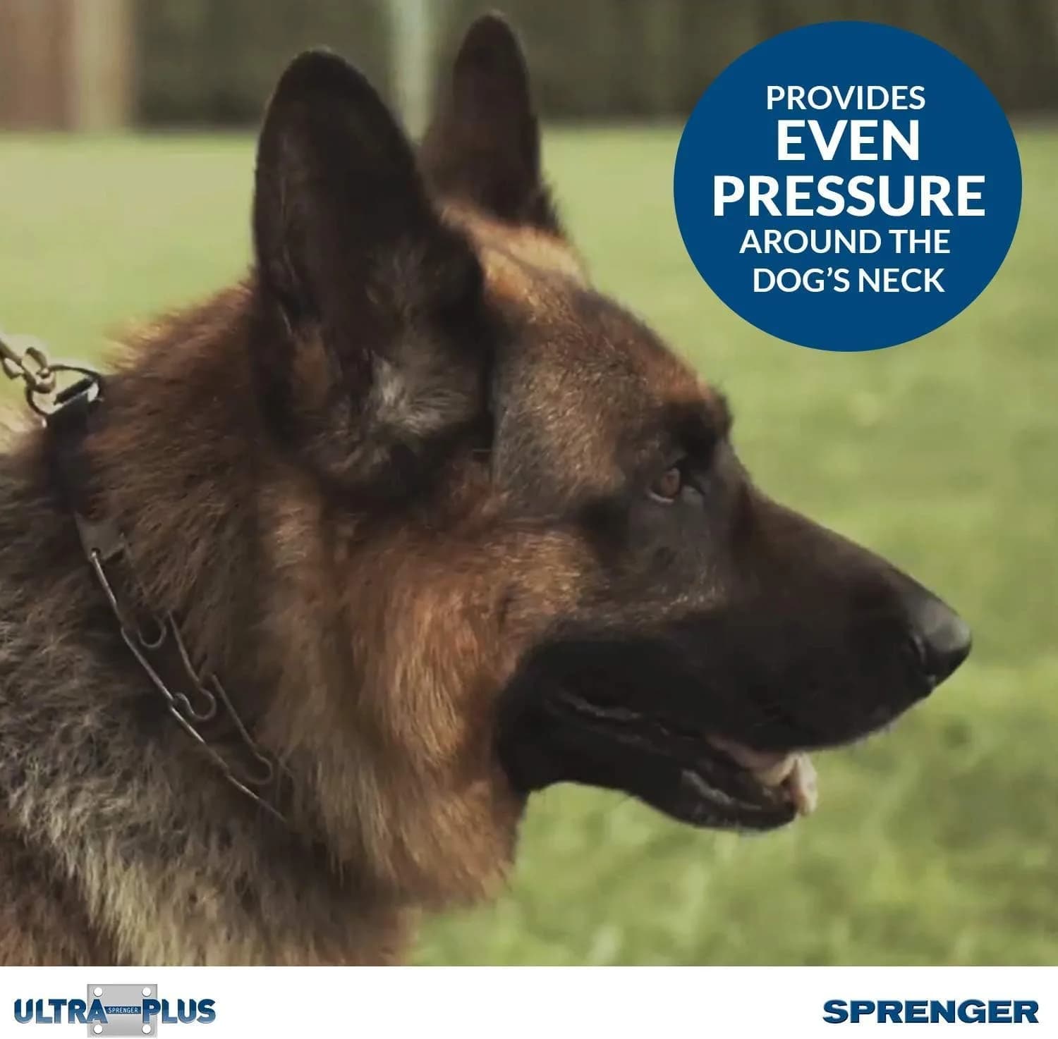 Herm Sprenger Chrome Plated Steel Training Prong Collar with Quick Release Snap for Dogs, 21-22 in (55cm) x 3mm, Neck Size UP to 18 inches - view 4