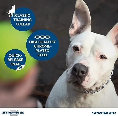 Herm Sprenger Chrome Plated Steel Training Prong Collar with Quick Release Snap for Dogs, 21-22 in (55cm) x 3mm, Neck Size UP to 18 inches thumbnail 2